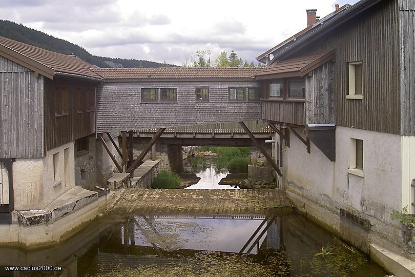 L'Orbe in Bois-d'Amont