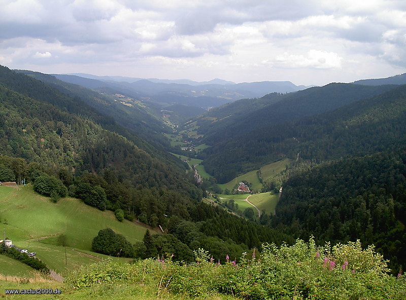 Vogesental