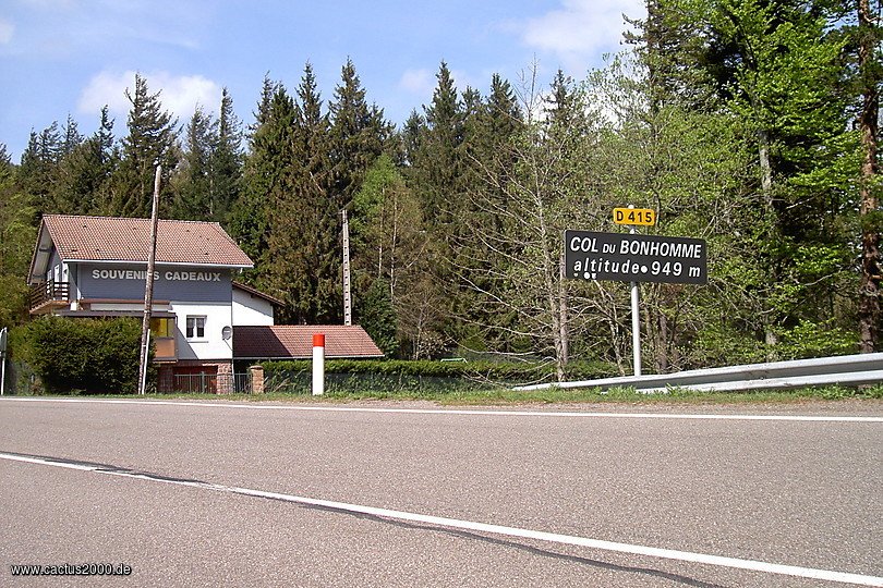 Col du Bonhomme