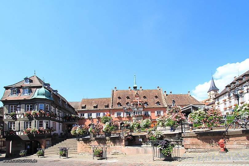 Rathaus in Barr