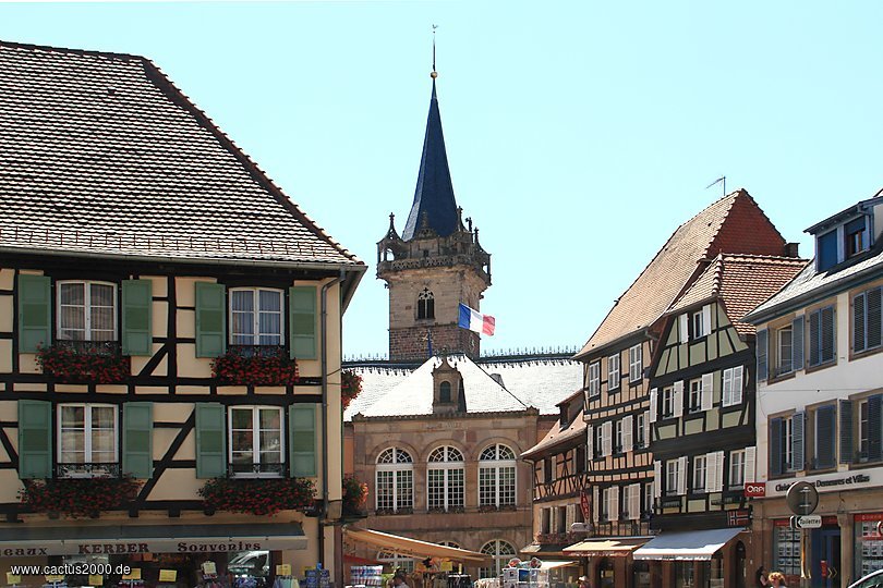 Obernai