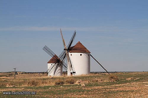 Windmühlen von Mota del Cuervo, Spanien