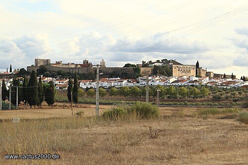 Serpa, Alentejo, Portugal